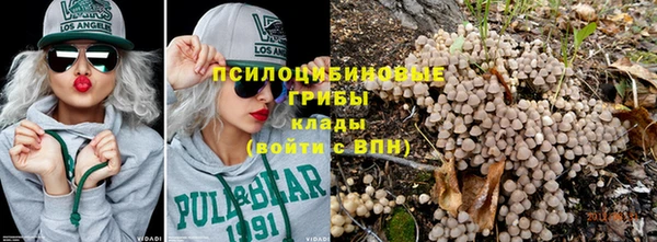 шишки Лагань