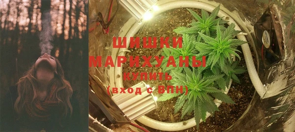 дживик Лабытнанги