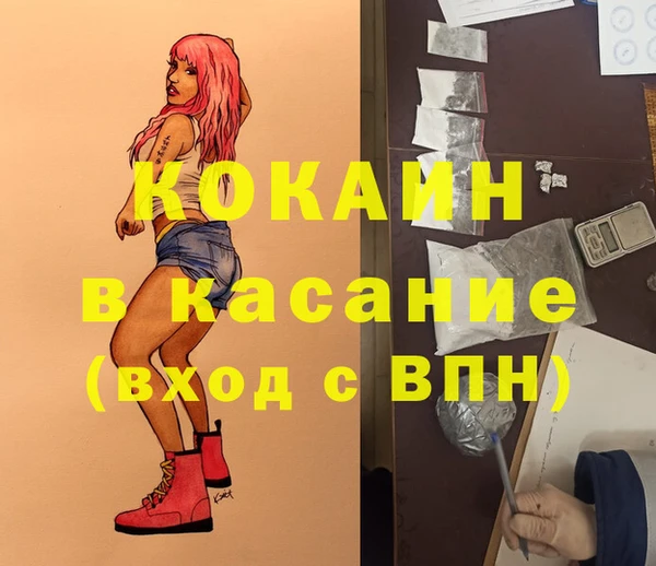 шишки Лагань
