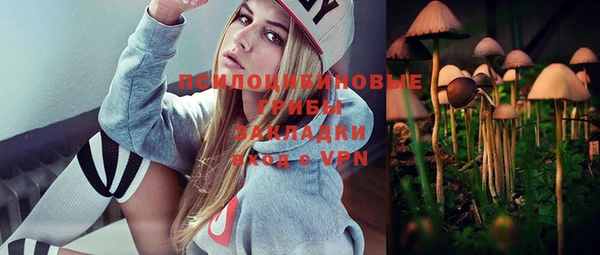 шишки Лагань