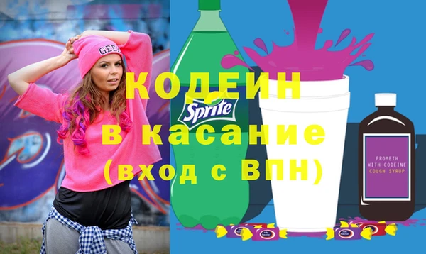 шишки Лагань