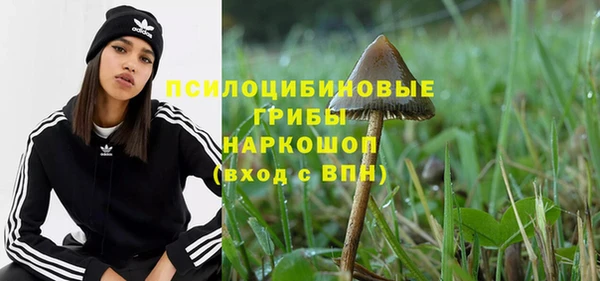 шишки Лагань