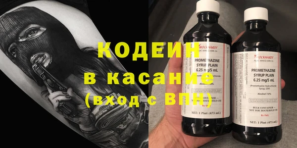 шишки Лагань