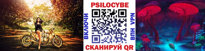 Галлюциногенные грибы Cubensis  цены наркотик  Приморск 