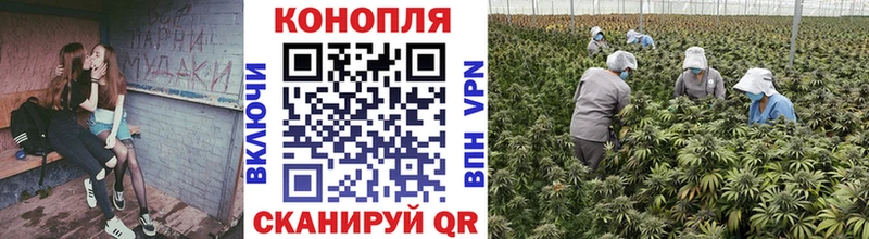 МАРИХУАНА LSD WEED  магазин продажи наркотиков  ссылка на мегу как войти  Приморск 